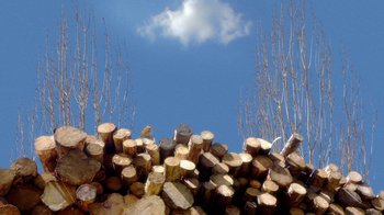 Movie still from “24 Frames” (2017), directed by Abbas Kiarostami – A large pile of wood sitting in front of a blue sky; Extreme Wide shot, Low angle