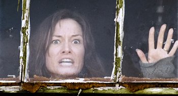 Movie still from “28 Weeks Later” (2007), directed by Juan Carlos Fresnadillo – A person looking through a window; Close Up shot, Low angle