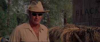 Movie still from “3 Women” (1977), directed by Robert Altman – A man wearing a hat and sunglasses standing next to a horse; Close Up shot, Low angle