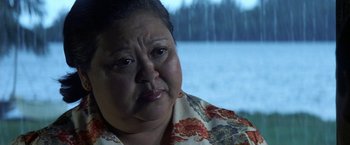 Movie still from “50 First Dates” (2004), directed by Peter Segal – An older woman looking sad while standing in front of a lake; Close Up shot, Low angle