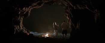 Movie still from “50 First Dates” (2004), directed by Peter Segal – Two people standing in front of a fire at night; Extreme Wide shot, High angle