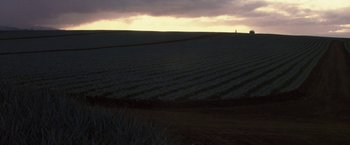 Movie still from “50 First Dates” (2004), directed by Peter Segal – A field of crops in the middle of the night; Extreme Wide shot, High angle