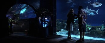 Movie still from “50 First Dates” (2004), directed by Peter Segal – A woman standing in front of an aquarium at night; Wide shot, Over the shoulder angle