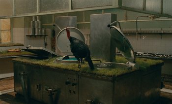 Movie still from “7 Rm., kit., ba...” (1984), directed by Agnès Varda – A turkey standing on top of a kitchen counter; Wide shot, High angle