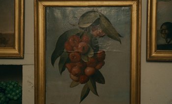 Movie still from “7 Rm., kit., ba...” (1984), directed by Agnès Varda – A painting of a bunch of fruit hanging from a tree; Extreme Close Up shot, Overhead angle
