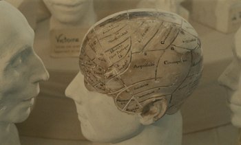 Movie still from “7 Rm., kit., ba...” (1984), directed by Agnès Varda – A model of a human head that has been cut out; Extreme Close Up shot, Overhead angle