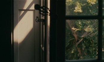 Movie still from “7 Rm., kit., ba...” (1984), directed by Agnès Varda – A view of a tree through a window; Medium shot, Over the shoulder angle