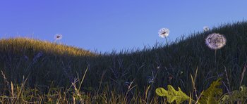 Movie still from “A Bug's Life” (1998), directed by John Lasseter – A dandelion in the middle of a grassy field; Extreme Wide shot, Low angle