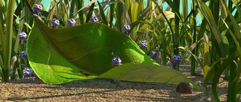 Movie still from “A Bug's Life” (1998), directed by John Lasseter – A group of bugs sitting on top of a green leaf; Extreme Wide shot, High angle