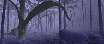 Movie still from “A Bug's Life” (1998), directed by John Lasseter – An image of a foggy forest with a rock in the foreground; Extreme Wide shot, High angle