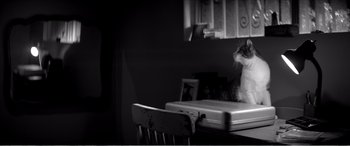 Movie still from “A Girl Walks Home Alone at Night” (2014), directed by Ana Lily Amirpour – A black and white photo of a cat sitting on top of a desk; Medium shot, Low angle