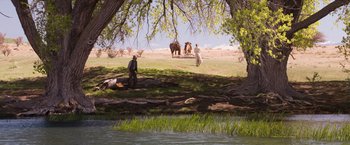 Movie still from “A Million Ways to Die in the West” (2014), directed by Seth MacFarlane – Two people standing next to a body of water with horses; Extreme Wide shot, High angle