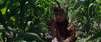 Movie still from “A Perfect World” (1993), directed by Clint Eastwood – A young boy is hiding in the tall grass; Medium shot, High angle