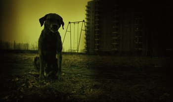 Movie still from “A Short Film About Killing” (1988), directed by Krzysztof Kieslowski – A dog sitting in the middle of a field at night; Wide shot, Low angle