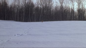 Movie still from “A Simple Plan” (1998), directed by Sam Raimi – A dog walking across a snow covered field near a forest; Extreme Wide shot, High angle