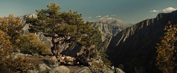 Two men sitting on top of a mountain next to a tree