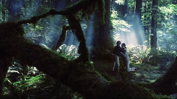 Two people sitting in the middle of a forest hugging