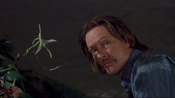 Movie still from “Adaptation.” (2002), directed by Spike Jonze – A person looking at a flower; Close Up shot, Low angle