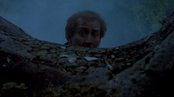 Movie still from “Adaptation.” (2002), directed by Spike Jonze – A man with a beard is looking over a rock; Medium shot, Low angle