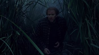 Movie still from “Adaptation.” (2002), directed by Spike Jonze – A man standing in the middle of a forest; Medium shot, Low angle