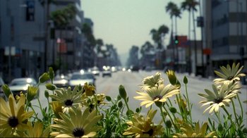 A view of a city street with cars driving down the road