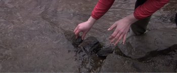 Movie still from “Adult Life Skills” (2016), directed by Rachel Tunnard – A person holding a rock in a body of water; Extreme Close Up shot, High angle