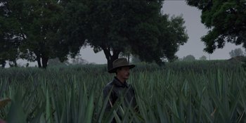 A man wearing a hat standing in the middle of a field