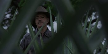 A man with a hat standing in tall grass