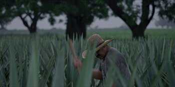 A man in a hat is in the grass