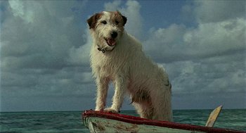 Movie still from “Age of Consent” (1969), directed by Michael Powell – A dog standing on the bow of a boat in the ocean; Wide shot, Low angle