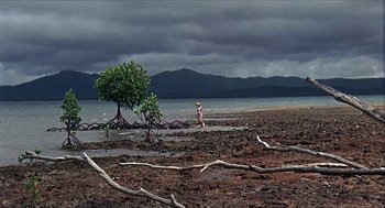 Movie still from “Age of Consent” (1969), directed by Michael Powell – A man standing on a beach next to a tree; Extreme Wide shot, High angle