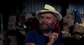 Movie still from “Age of Consent” (1969), directed by Michael Powell – A man with a beard and a hat is holding a red phone; Close Up shot, Low angle