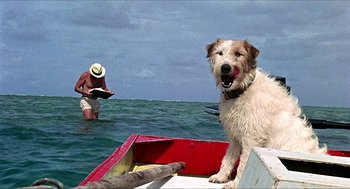 Movie still from “Age of Consent” (1969), directed by Michael Powell – A dog sitting on the bow of a boat in the ocean; Wide shot, Low angle