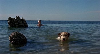 Movie still from “Age of Consent” (1969), directed by Michael Powell – A man and a dog swimming in the ocean; Wide shot, Low angle