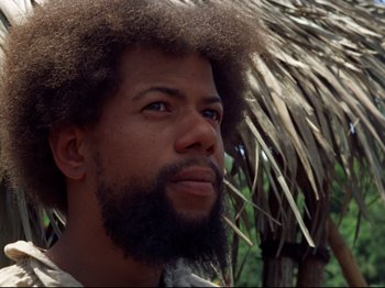 Movie still from “Aguirre, the Wrath of God” (1972), directed by Werner Herzog – A person with a beard; Close Up shot, Low angle