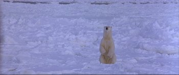 Movie still from “Alaska” (1996), directed by Fraser C. Heston – A polar bear sitting on top of a snow covered field; Extreme Wide shot, High angle