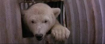 Movie still from “Alaska” (1996), directed by Fraser C. Heston – A white polar bear hanging out of a window; Extreme Close Up shot, High angle