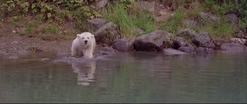 Movie still from “Alaska” (1996), directed by Fraser C. Heston – A white polar bear sitting on the shore of a body of water; Extreme Wide shot, High angle
