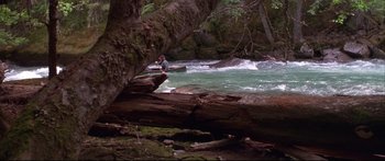 Movie still from “Alaska” (1996), directed by Fraser C. Heston – A bird sitting on a tree branch near a body of water; Extreme Wide shot, High angle