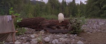 Movie still from “Alaska” (1996), directed by Fraser C. Heston – A polar bear walking across a fallen log; Extreme Wide shot, High angle