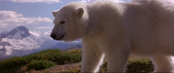 Movie still from “Alaska” (1996), directed by Fraser C. Heston – A white polar bear standing on top of a grass covered field; Close Up shot, Low angle