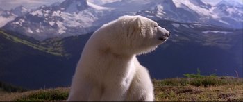 Movie still from “Alaska” (1996), directed by Fraser C. Heston – A white polar bear sitting on top of a hill; Close Up shot, Low angle