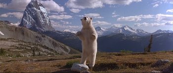 Movie still from “Alaska” (1996), directed by Fraser C. Heston – A white polar bear standing on top of a grass covered hill; Extreme Wide shot, Low angle