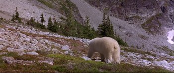 Movie still from “Alaska” (1996), directed by Fraser C. Heston – A polar bear walking on a rocky hill side; Extreme Wide shot, High angle