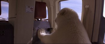 Movie still from “Alaska” (1996), directed by Fraser C. Heston – A polar bear sitting in the back of an airplane looking out the window; Medium shot, High angle