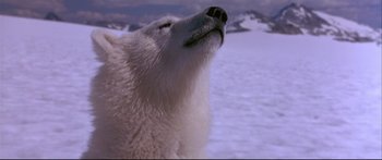 Movie still from “Alaska” (1996), directed by Fraser C. Heston – A polar bear's head with mountains in the background; Extreme Close Up shot, Low angle
