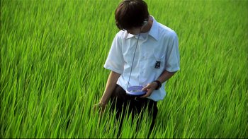 Movie still from “All About Lily Chou-Chou” (2001), directed by Shunji Iwai – A man standing in the middle of a green grass field; Medium shot, High angle