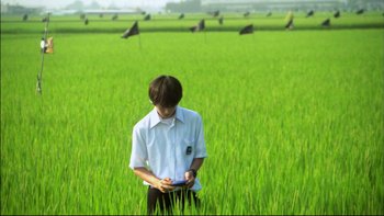 Movie still from “All About Lily Chou-Chou” (2001), directed by Shunji Iwai – A man standing in the middle of a green field; Wide shot, High angle