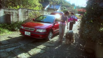 Movie still from “All About Lily Chou-Chou” (2001), directed by Shunji Iwai – A woman walking a dog down a street; Wide shot, High angle
