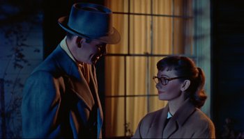 Movie still from “All That Heaven Allows” (1955), directed by Douglas Sirk – A man and a woman wearing glasses and a hat; Close Up shot, Over the shoulder angle